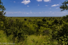 SHG-Photo-8386