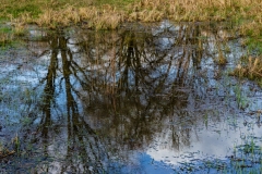 Reflektionen - Nah und Fern