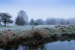 Wiesenlandschaft - Frost