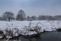 Wiesenlandschaft - Schnee